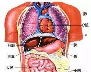 提醒:若经常凌晨左右醒来,可能是内脏的问题,别拖着不检查