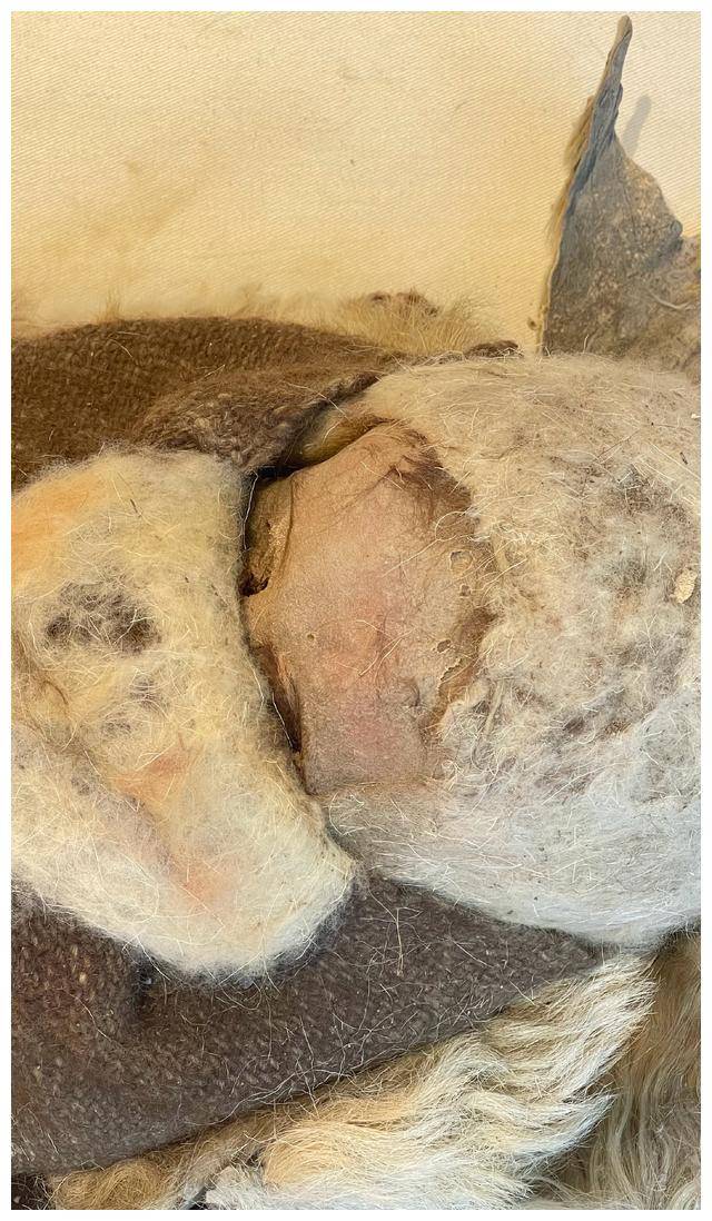 3800年前的新疆婴儿尸体,仿佛刚刚沉睡不久