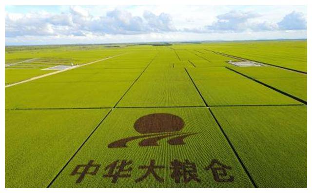 我国最大粮仓北大荒,辛苦开垦了半个多世纪,为什么要退耕还荒?