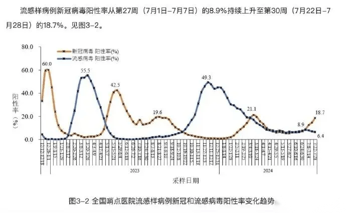 新冠病毒数据统计图图片