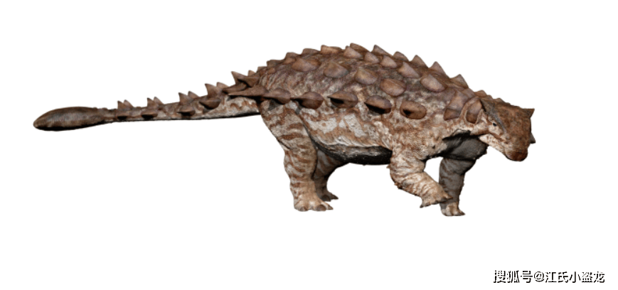 缙云甲龙:甲龙家族中第一个"锤哥"!