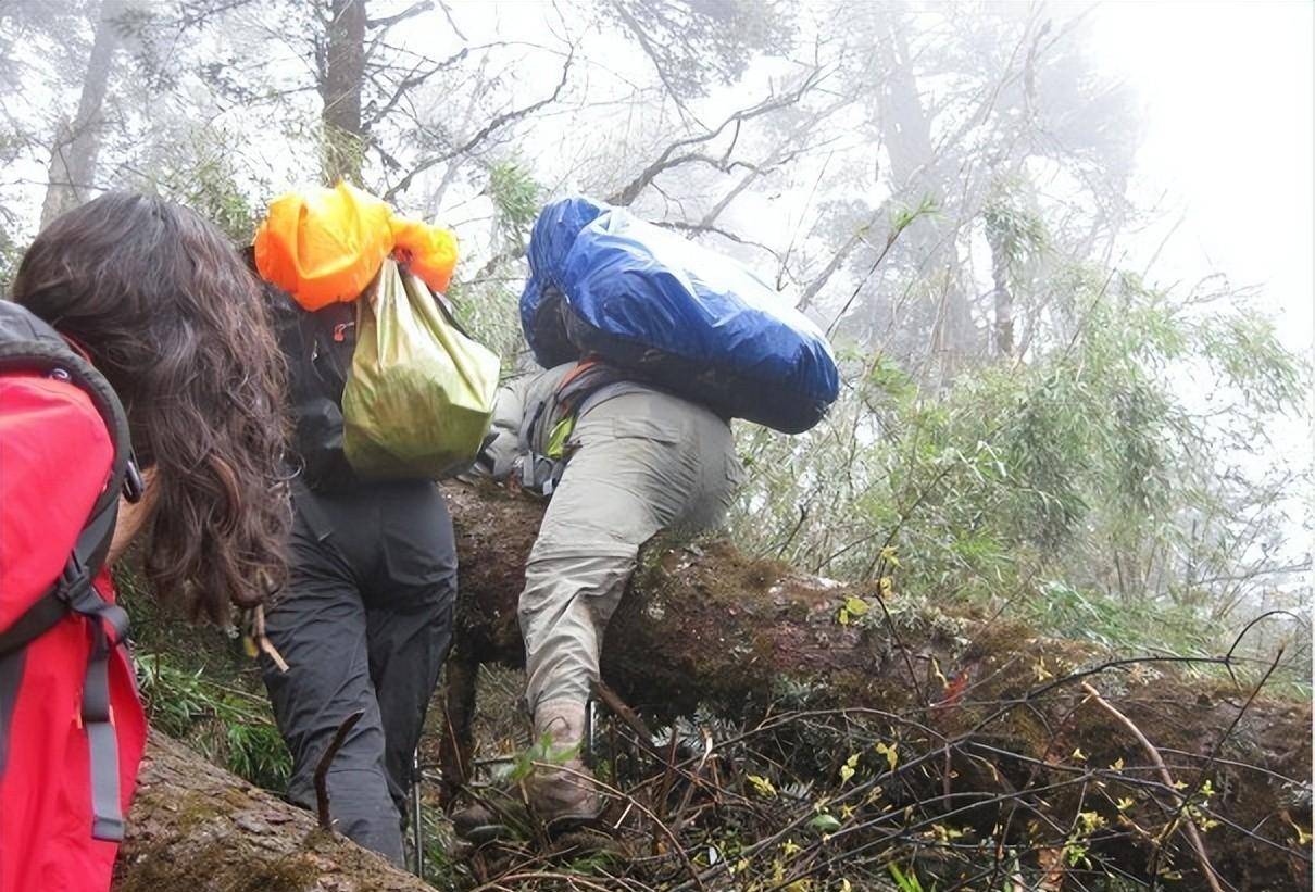 瓦屋山 黄泉路图片