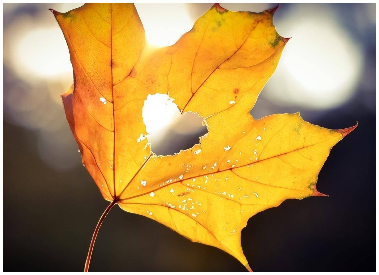 付出和努力永远