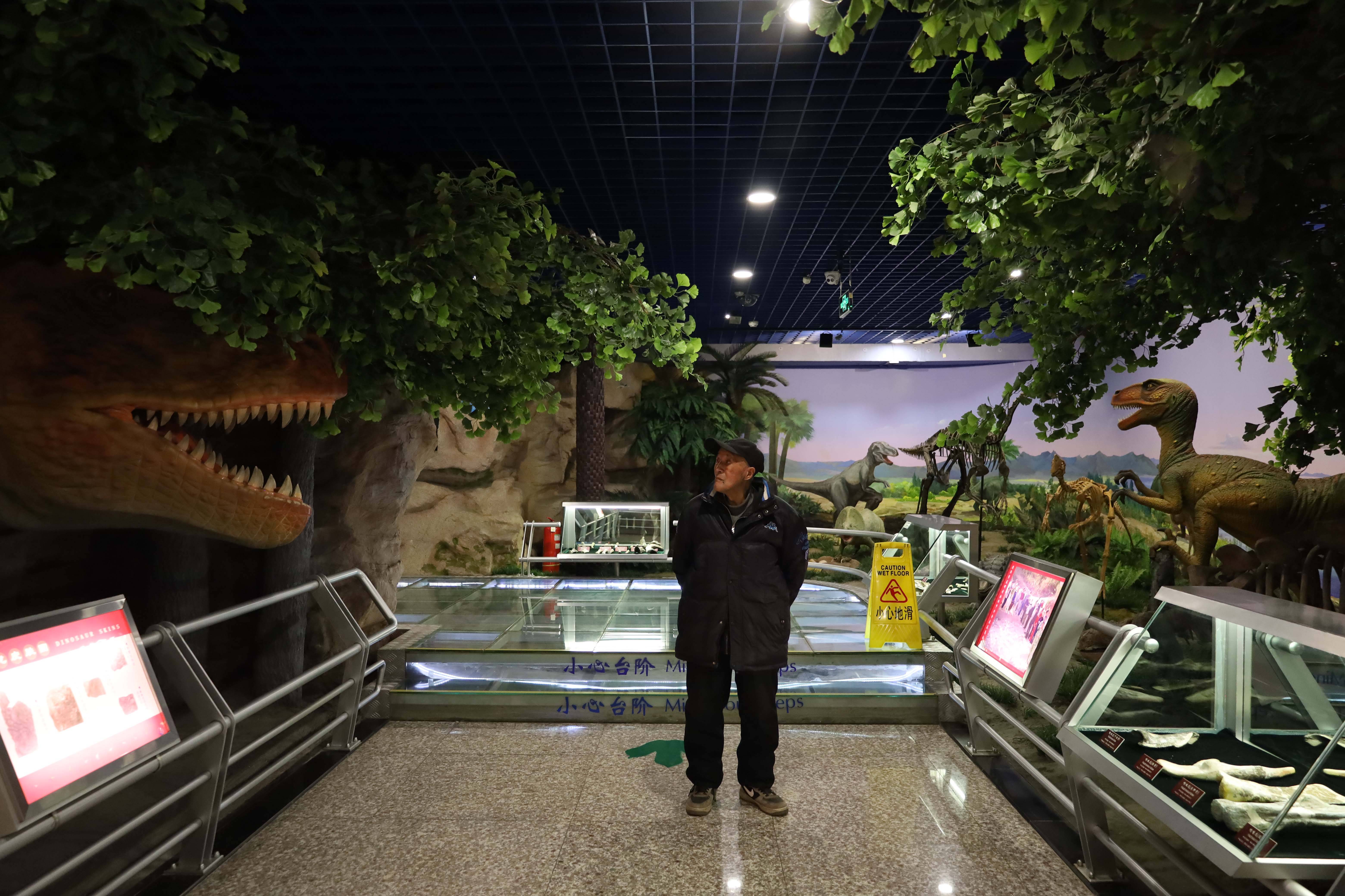 《爷爷走起》第四十五站--地质博物馆,黑龙江宝藏知多少?