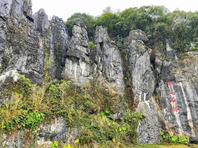 福建隐世仙境曝光:三明永安鳞隐石林,奇峰异石编织的自然迷宫!