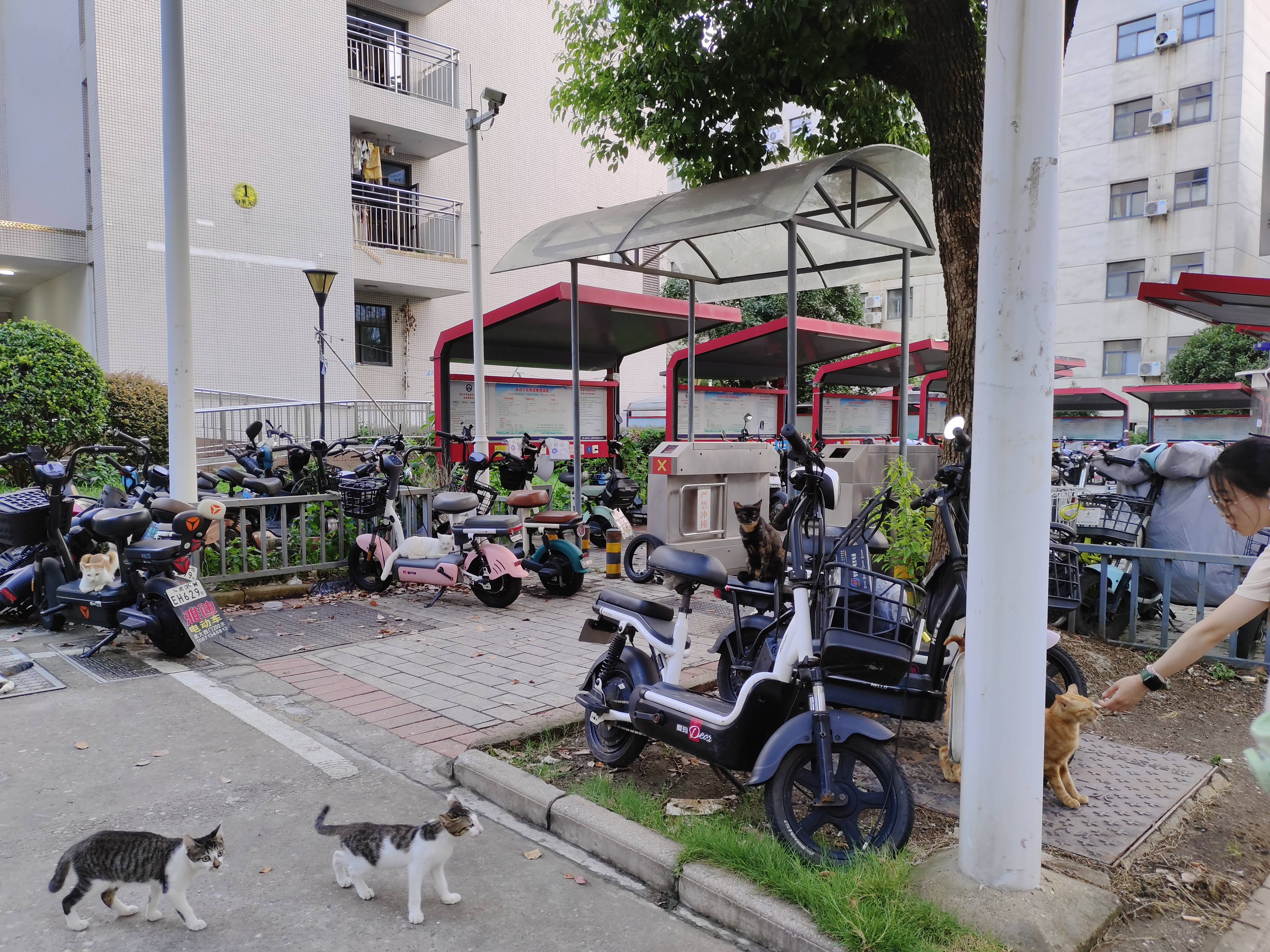 武汉大学人民医院康复科尹晶不开处方 康强民建