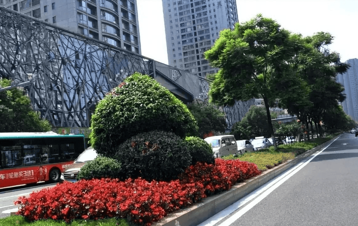 中国随处可见的绿化带,为何在"视环保为命"的西方国家却很少见