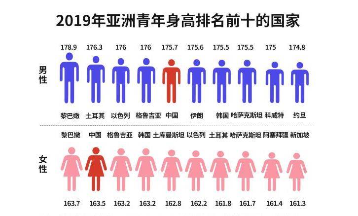 身高的统计图图片