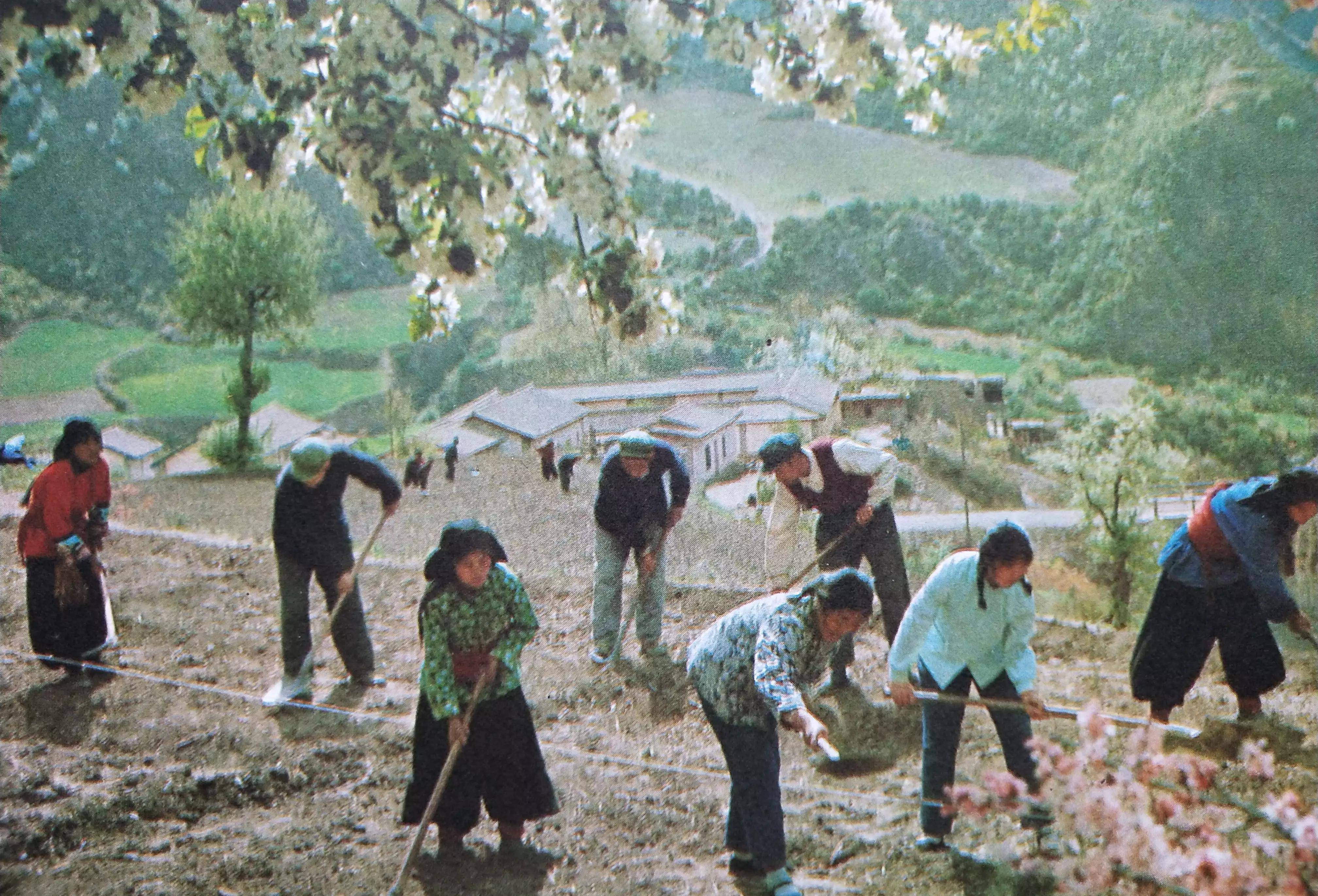 7o年代农村图片大全图片