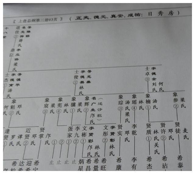 和珅临死前,向子女下达了什么密令,让整个家族存活了200多年?