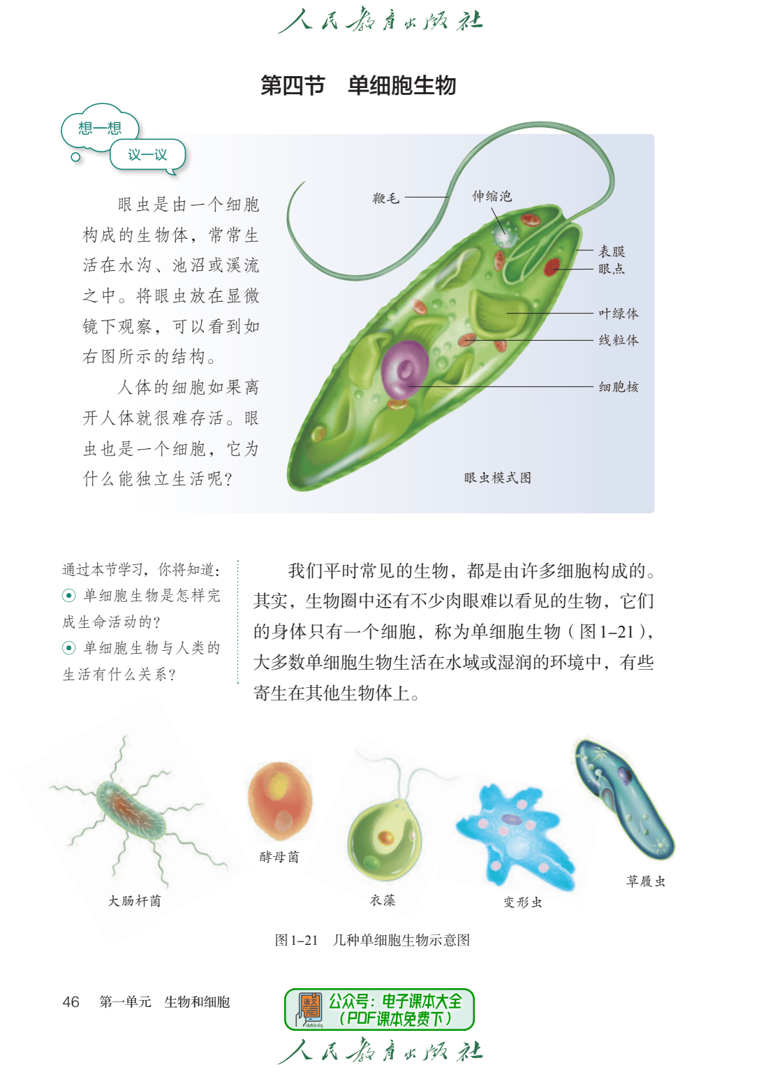 2024最新版初一生物学七年级上册电子课本pdf高清版教科书教材初中7上