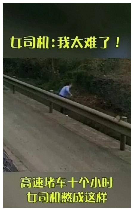 高速随地大小便憋着图片