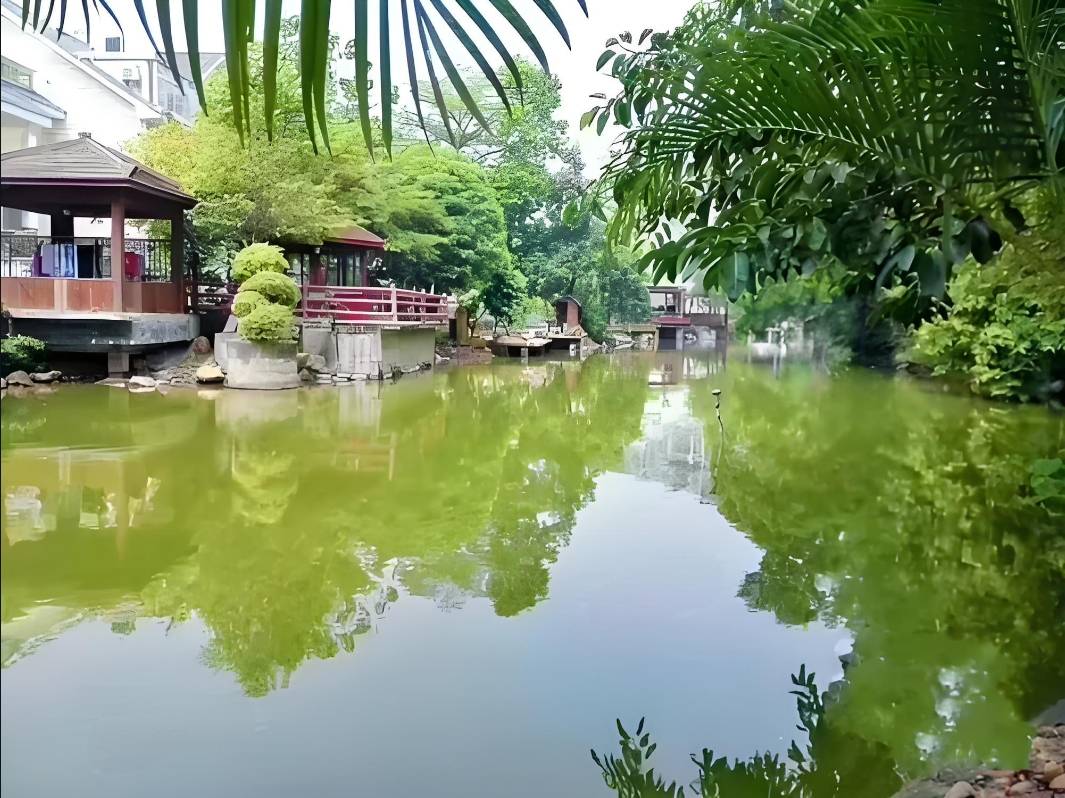 香蜜湖水榭花都别墅图片