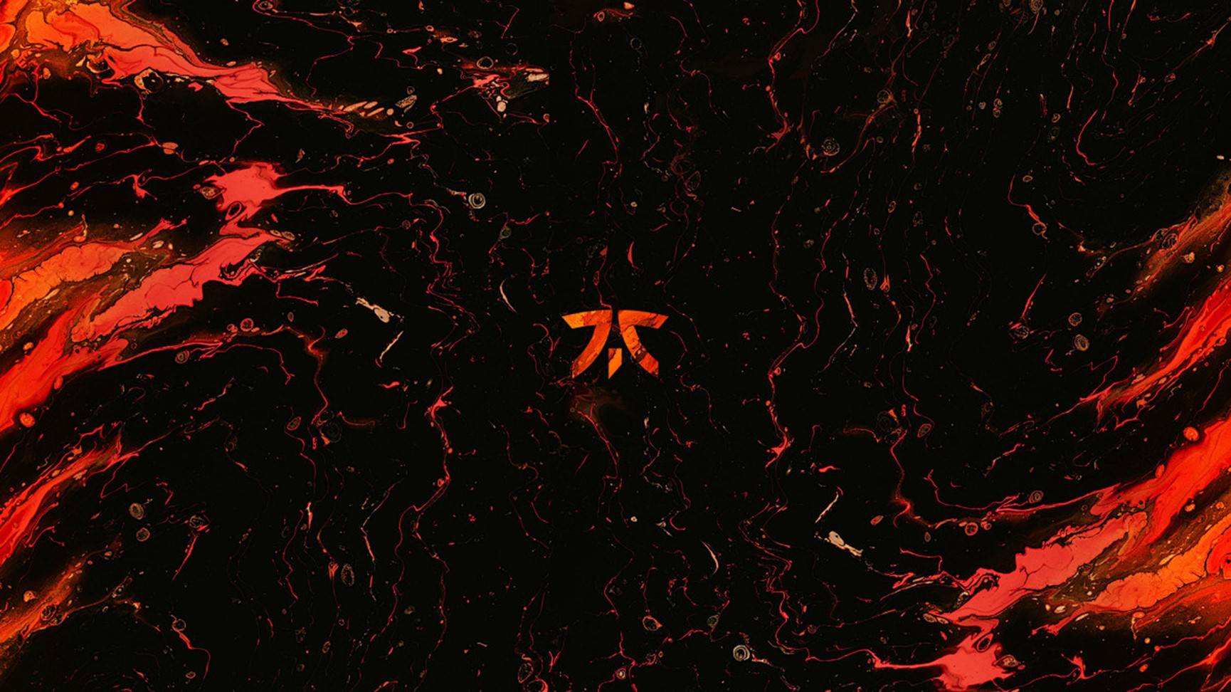 Fnatic官宣与BLACKLYTE逐夜达成长期合作，BLACKLYTE逐夜为何成为择优之选？