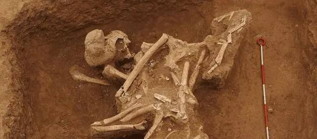 诡异!上焦村发现古墓群,已出土的7具尸骨,都是被肢解的年轻人