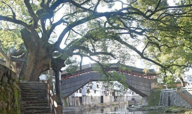 浙南群山中藏着一座小县城,15座精美的廊桥被国家重点保护!