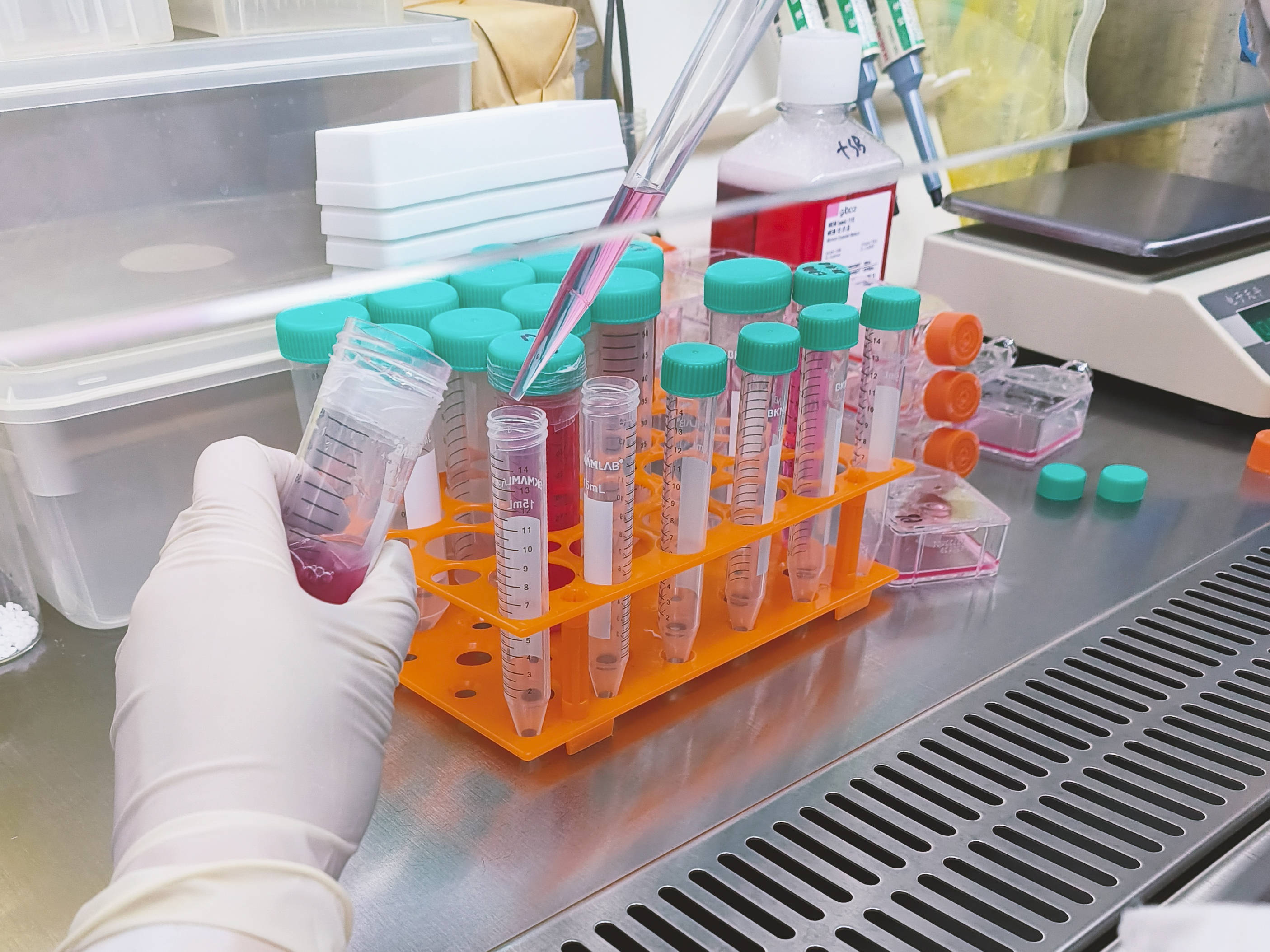 yy_t 1167-2009 厌氧血琼脂基础培养基