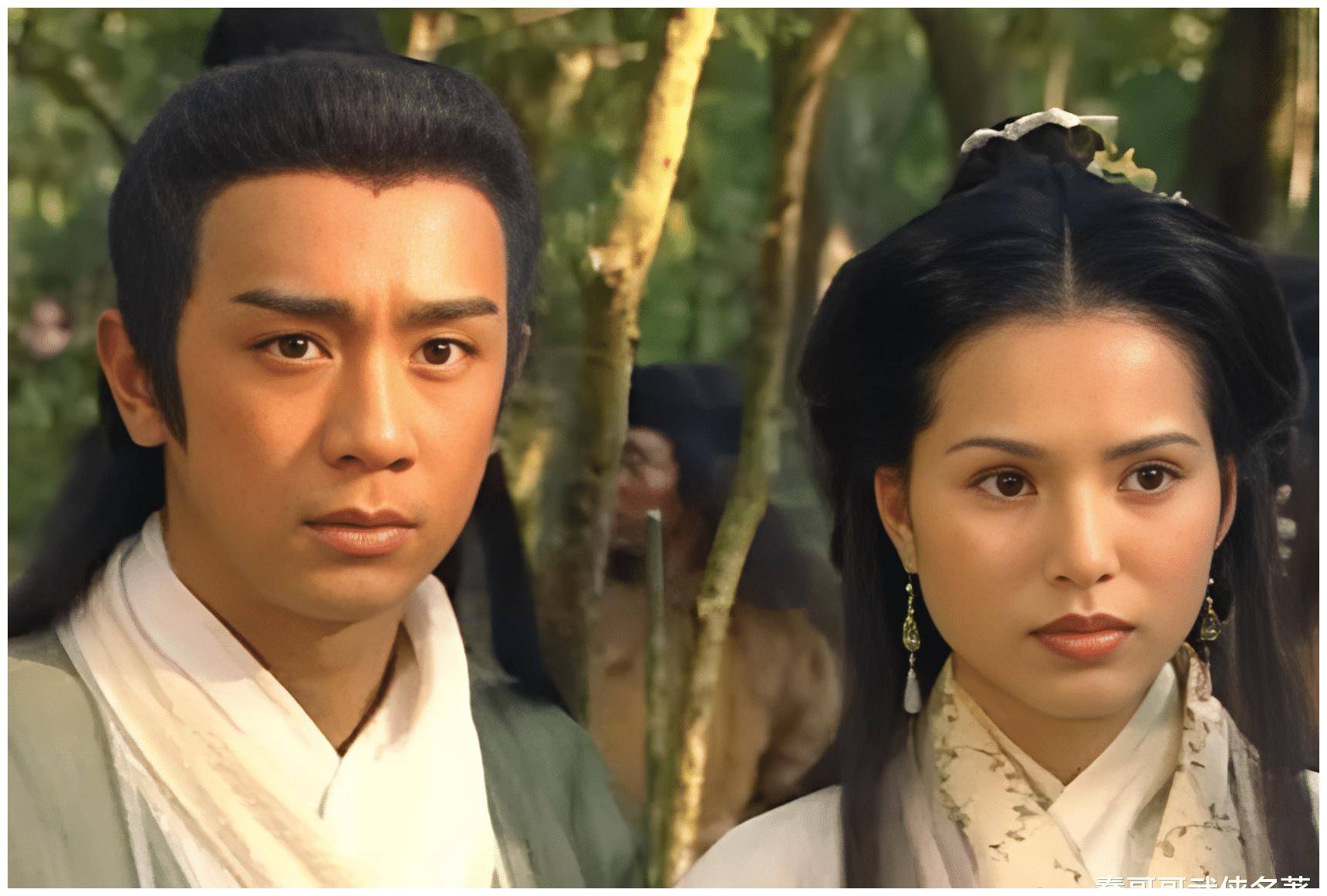 将自己身世秘密对华赫艮,巴天石等亲信说了,立木婉清为贵妃,钟灵为贤