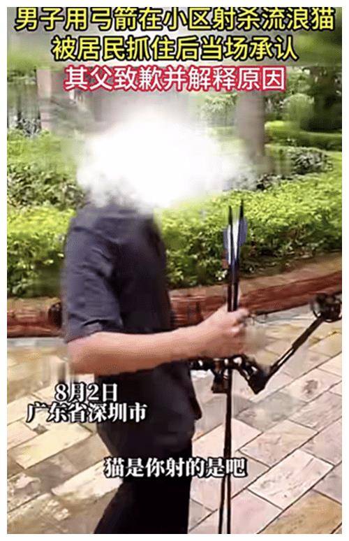 男子手持弓箭小区内射杀流浪猫,被当场质问男子嚣张称就是我干的