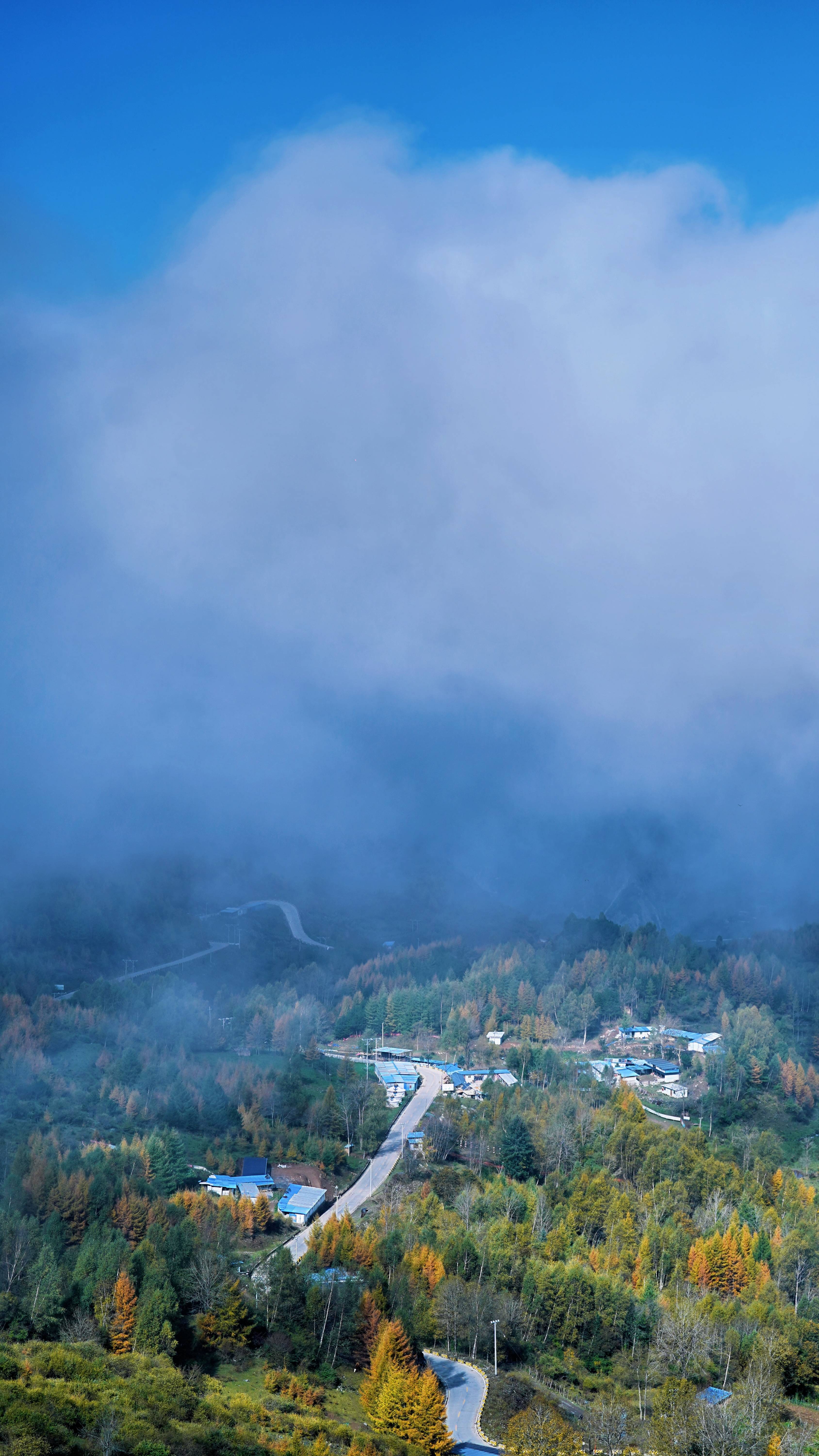 武都:千坝草原云海 仙气飘飘惊艳世人眼