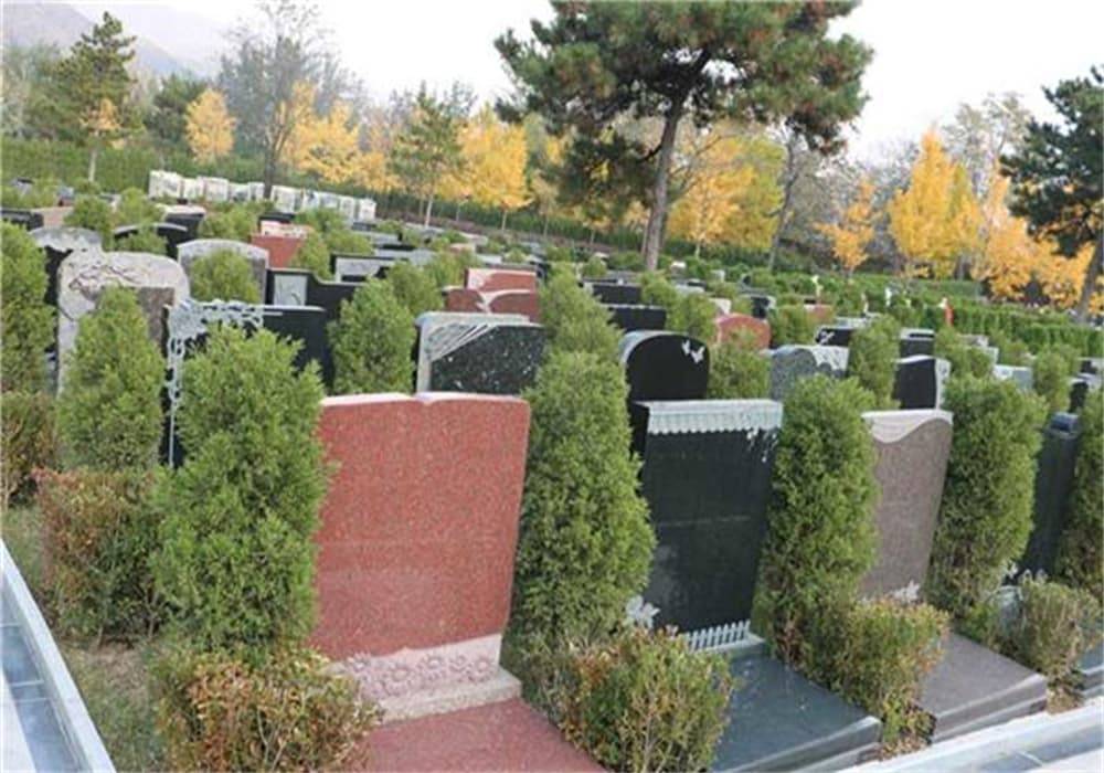 龙泉山真武山公墓_真武山公墓环境价格表2024分布大全