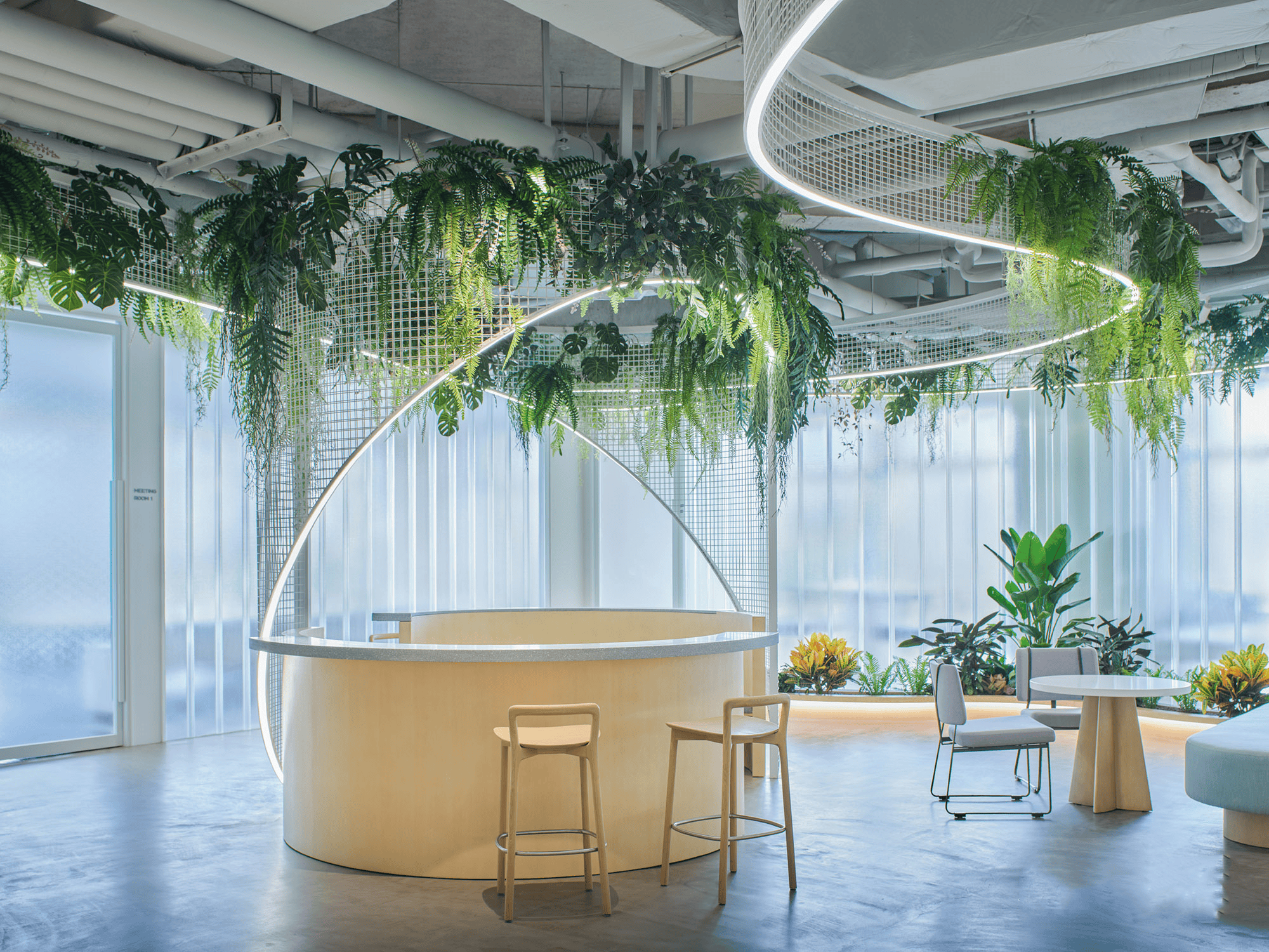 打造环保办公空间:绿色材料与自然美学的完美结合