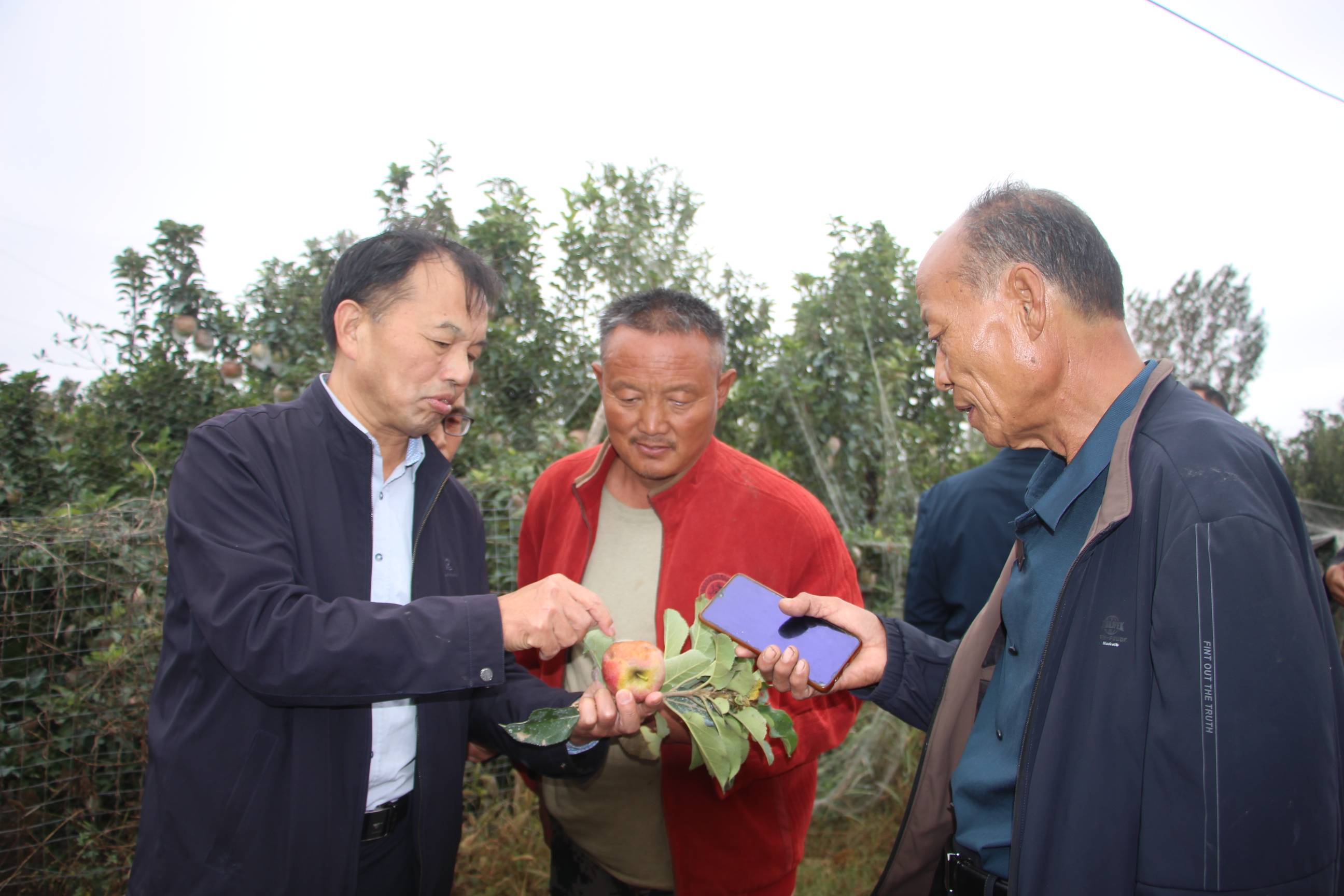 菏泽市巨野县北城高中图片