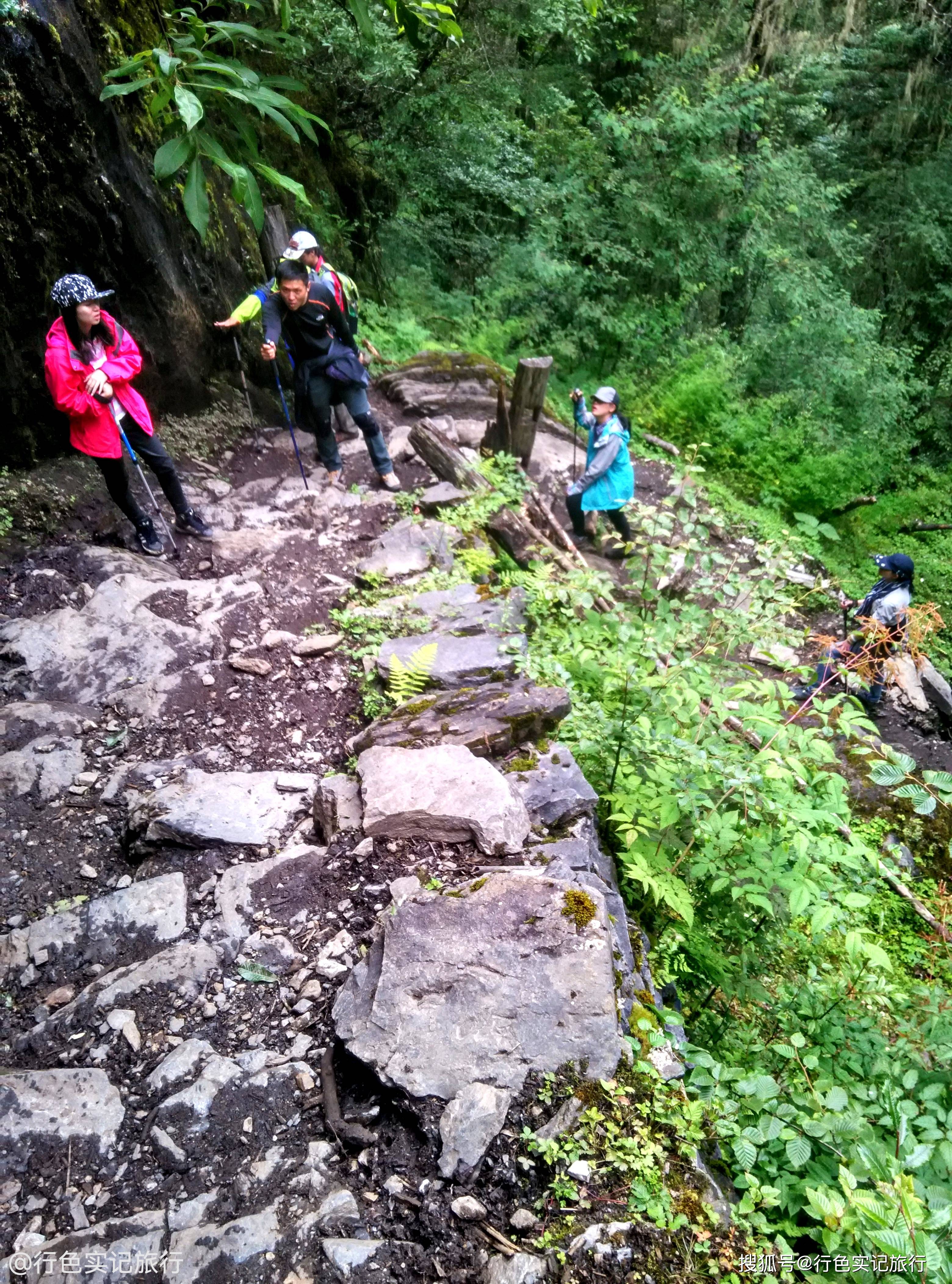 新手小白云南雨崩村徒步是种什么体验?穿越原始森林,轻松拿捏