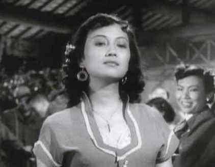 戴笠_陈华_王新衡