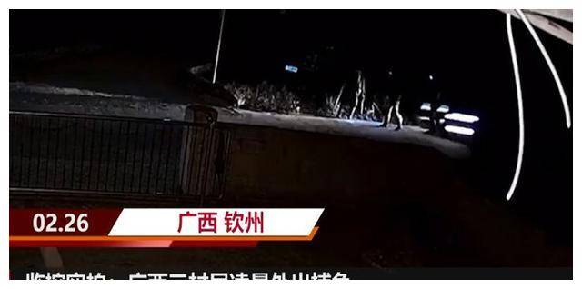 据了解,车祸现场位于钦北区小董镇雁堂村