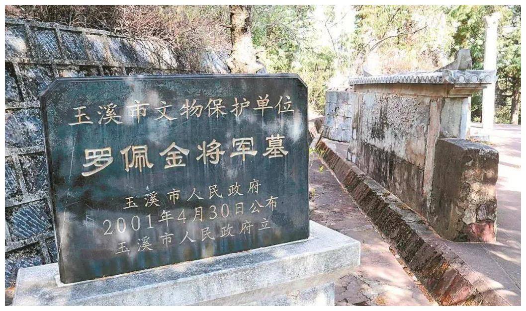 民国军阀之云南滇军罗佩金_蔡锷_四川_袁世凯