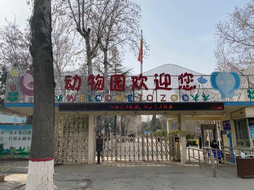 焦点情报站丨保定动物园今年能否搬迁?官方回复来了