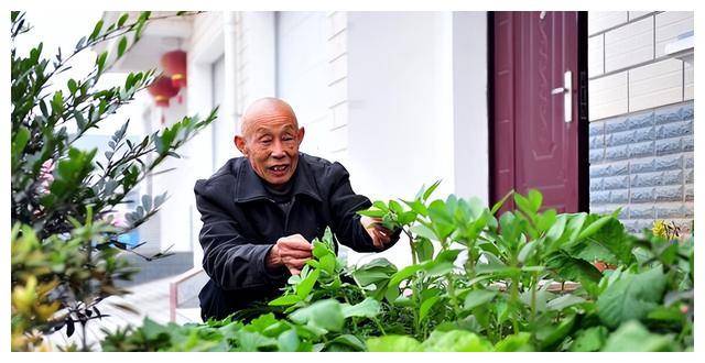 三位退休老人哭诉：人到晚年，这三种地方不能去，容易自寻烦恼_生活_女儿_麻将