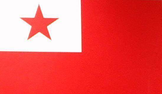 1949年新中国国旗征稿落选作品:它们都有一个重要共同点,你能发现吗?