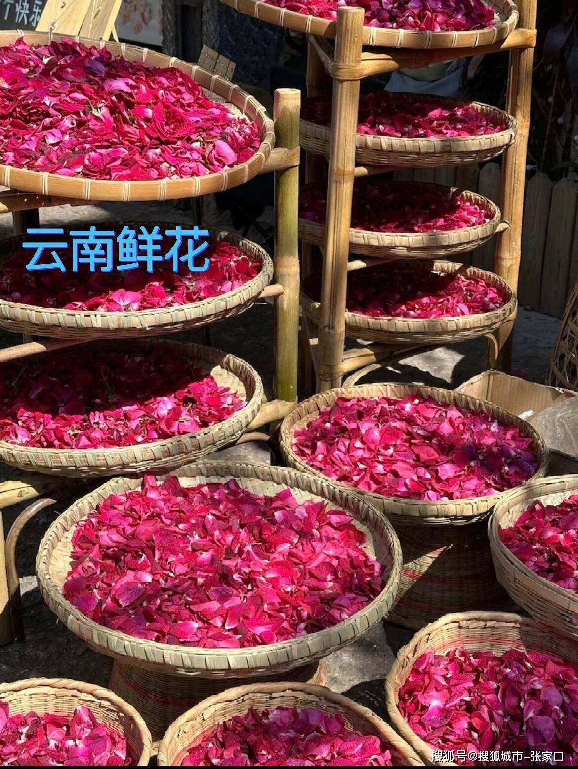 云南自由行攻略七天六晚花费多少，云南7日游大概需要多少钱_苏苏_Day_丽江