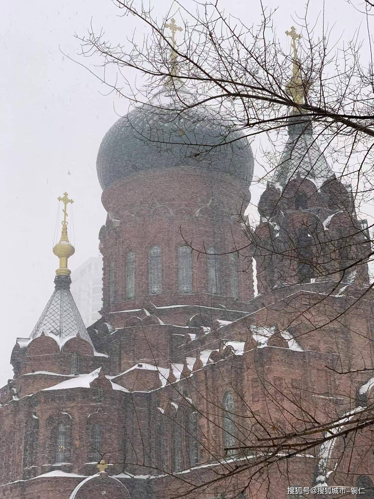 青岛去哈尔滨旅游跟团游多少钱?行程路线 经典经典 省钱指南!别错过!