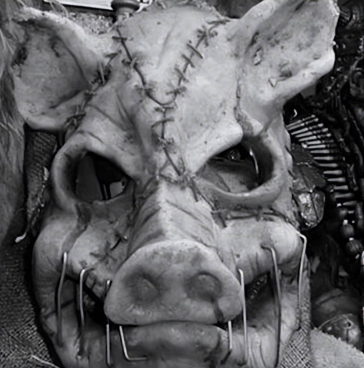 回顾美国猪头屠夫案:少年遭霸凌猪脸被缝脸上!三天后霸凌者暴亡