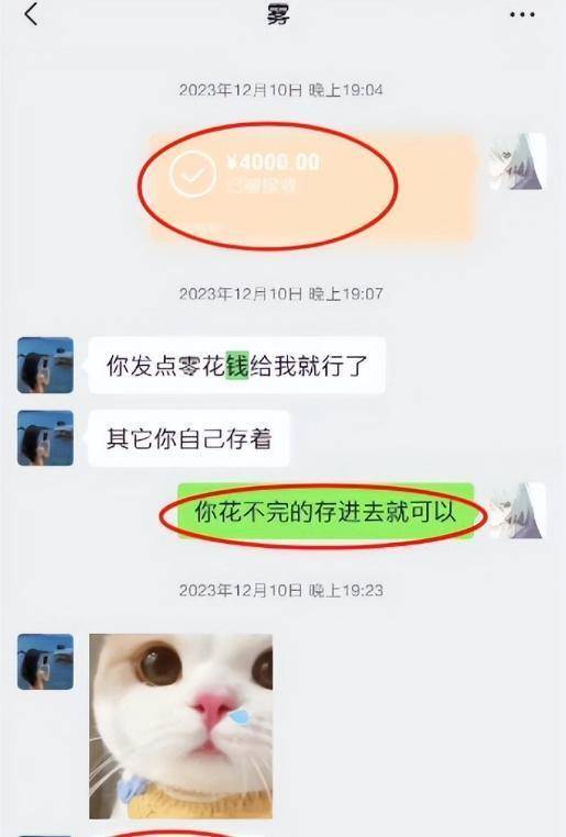 从肥猫姐晒出的聊天截图来看,肥猫一直在给谭某转账,有的主动交工资