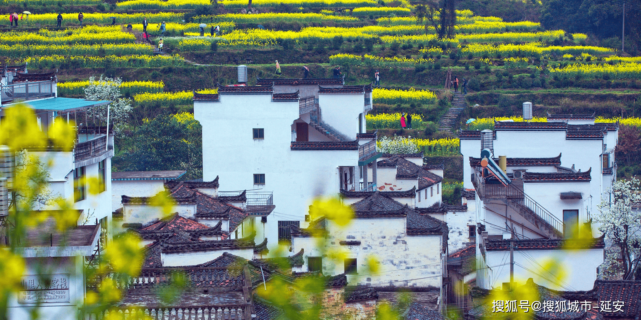 山东去江西旅游6天花费多少钱，山东去江西旅游6日游旅游攻略-达人分享！-第3张图片-海南百花岭热带雨林文化旅游区