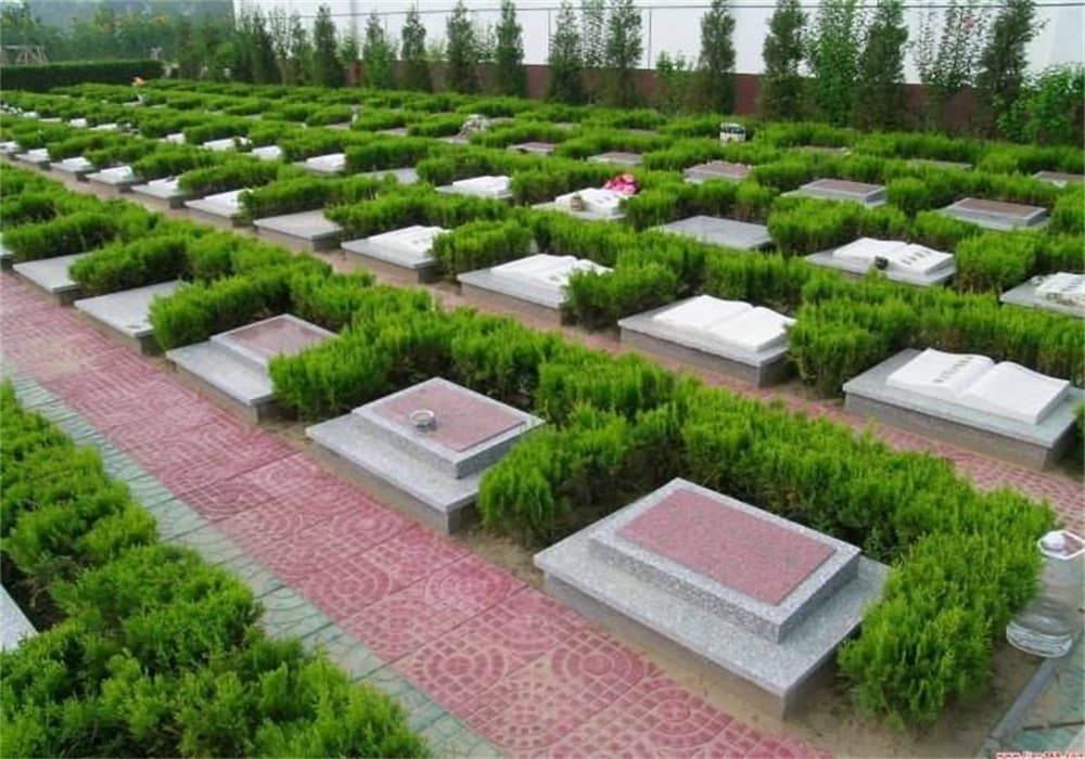 龙泉山卧龙寺公墓_卧龙寺公墓环境电话_墓地_陵园_传统