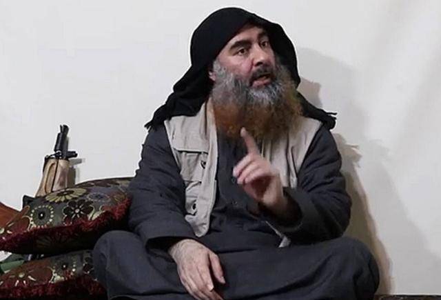 逼死巴格达迪还能生还,美军军犬为啥如此生猛