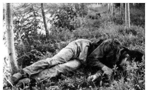 1983年,牙克石红旗沟惨案,一夜27人遇难,多名女青年被辱,胆寒