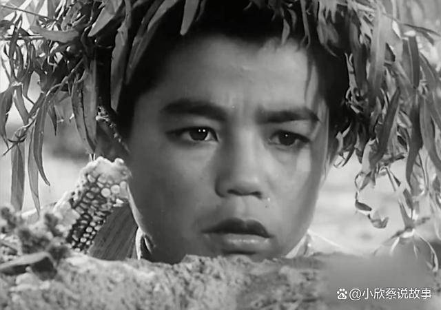 1963年,锅炉工看完《小兵张嘎》后嘀咕:堵老乡烟囱这事咱可没干