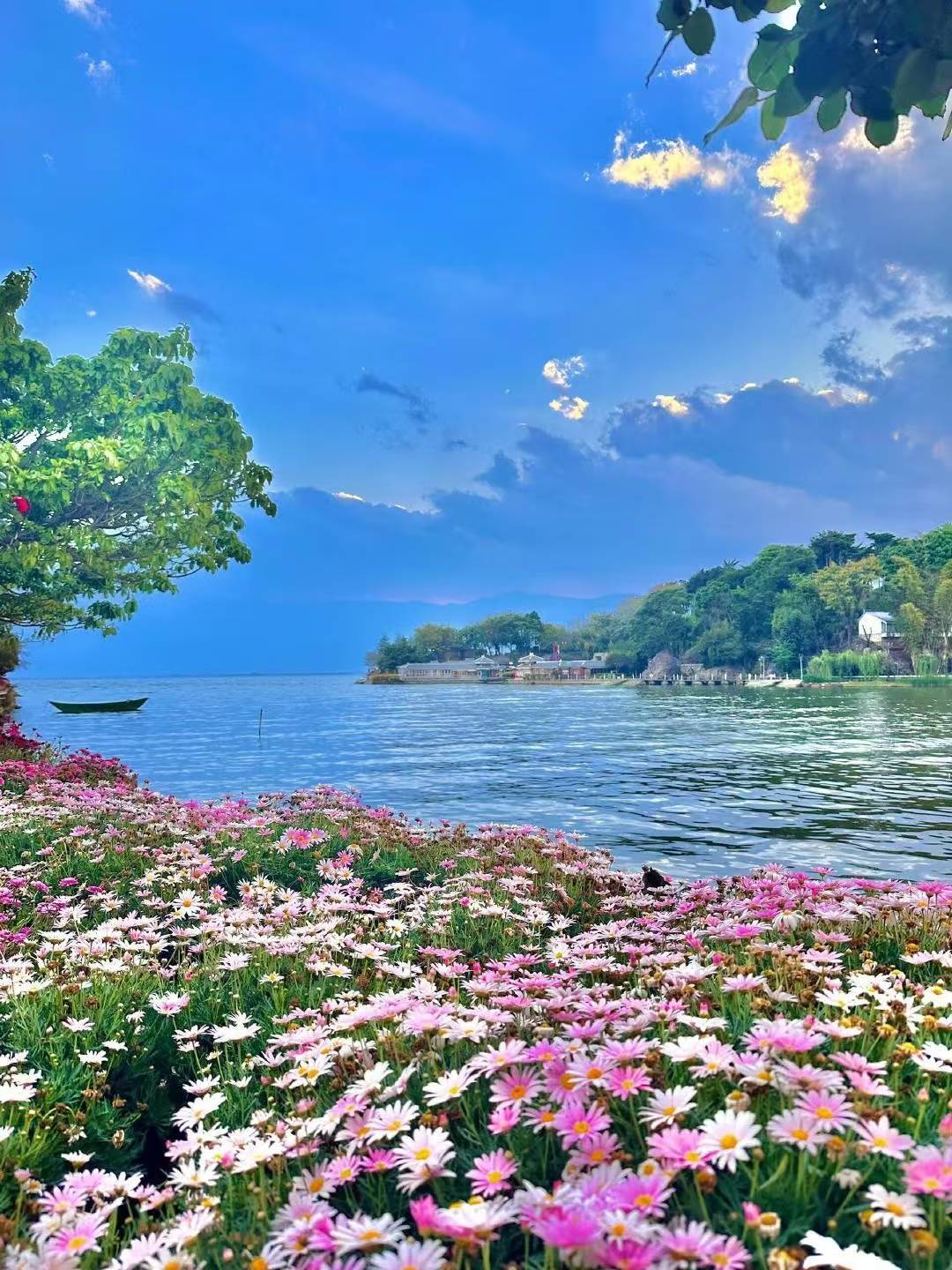 云南五天四晚旅行路线:海景风光无限,地道美食盛宴,文化精髓探寻,实用