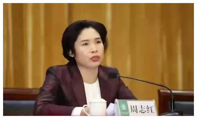 湖北荆州市长周志红落马,大学辅导员出身,长得好看但口碑很差