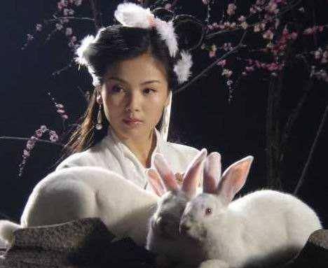 猪八戒前任,竟是玉兔精?其死因很蹊跷,网友:八戒把她当嫦娥了
