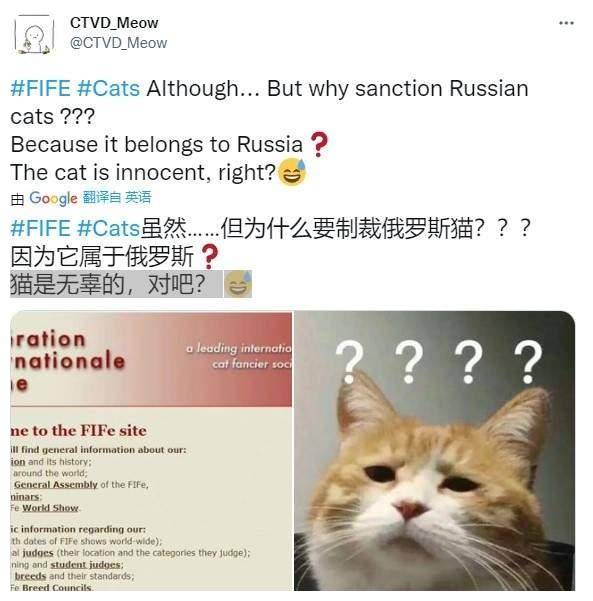 俄罗斯的猫被制裁图片