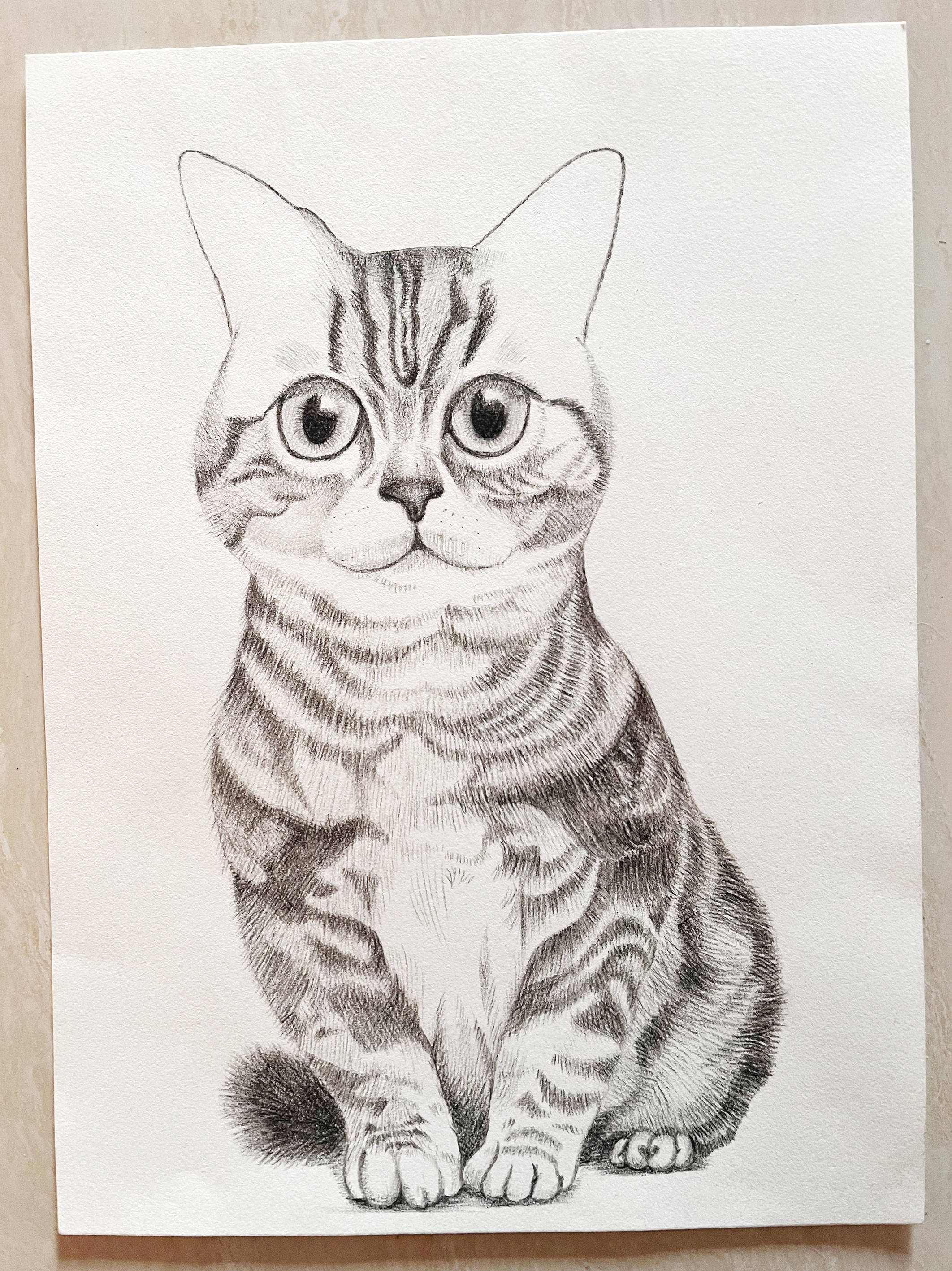 每周一练 ▏素描