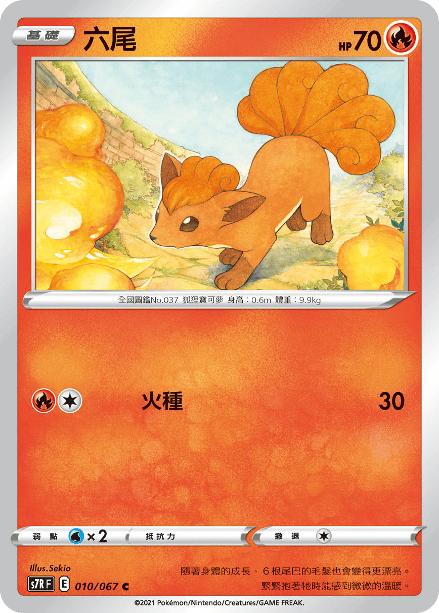 宝可梦卡牌:六尾