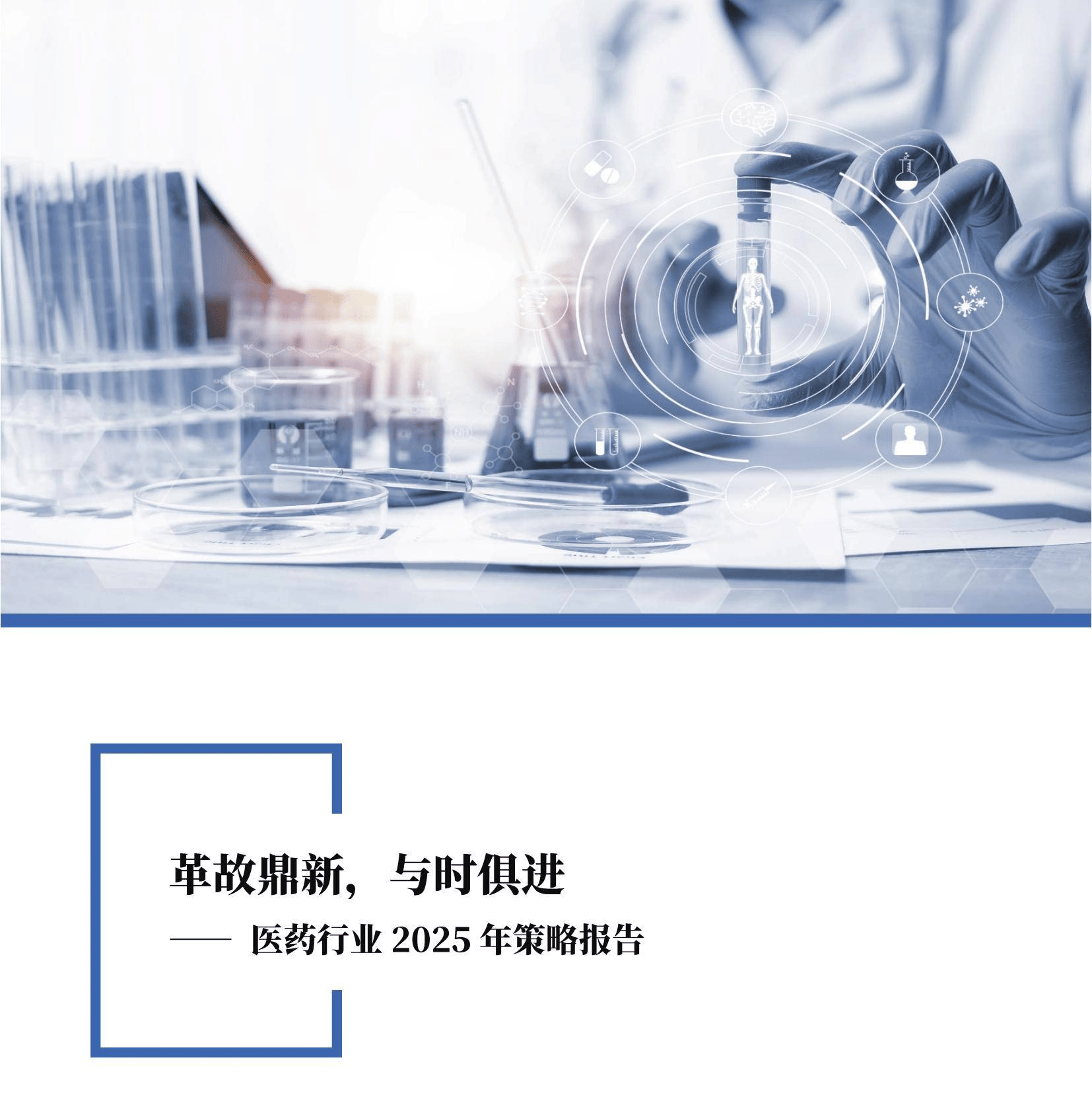 2025年医药生物行业可能面临的风险，医药生物行业投资策略报告-报告智库